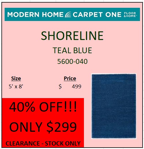 Picture of a clearance area rug that is medium bright blue shag